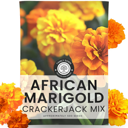 Family Sown Crackerjack envelope 2500mg ready for planting with vibrant color.