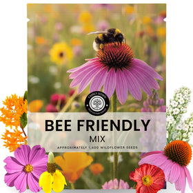 Family Sown Bee Friendly Mix seeds in 5g pouch for 2026 planting