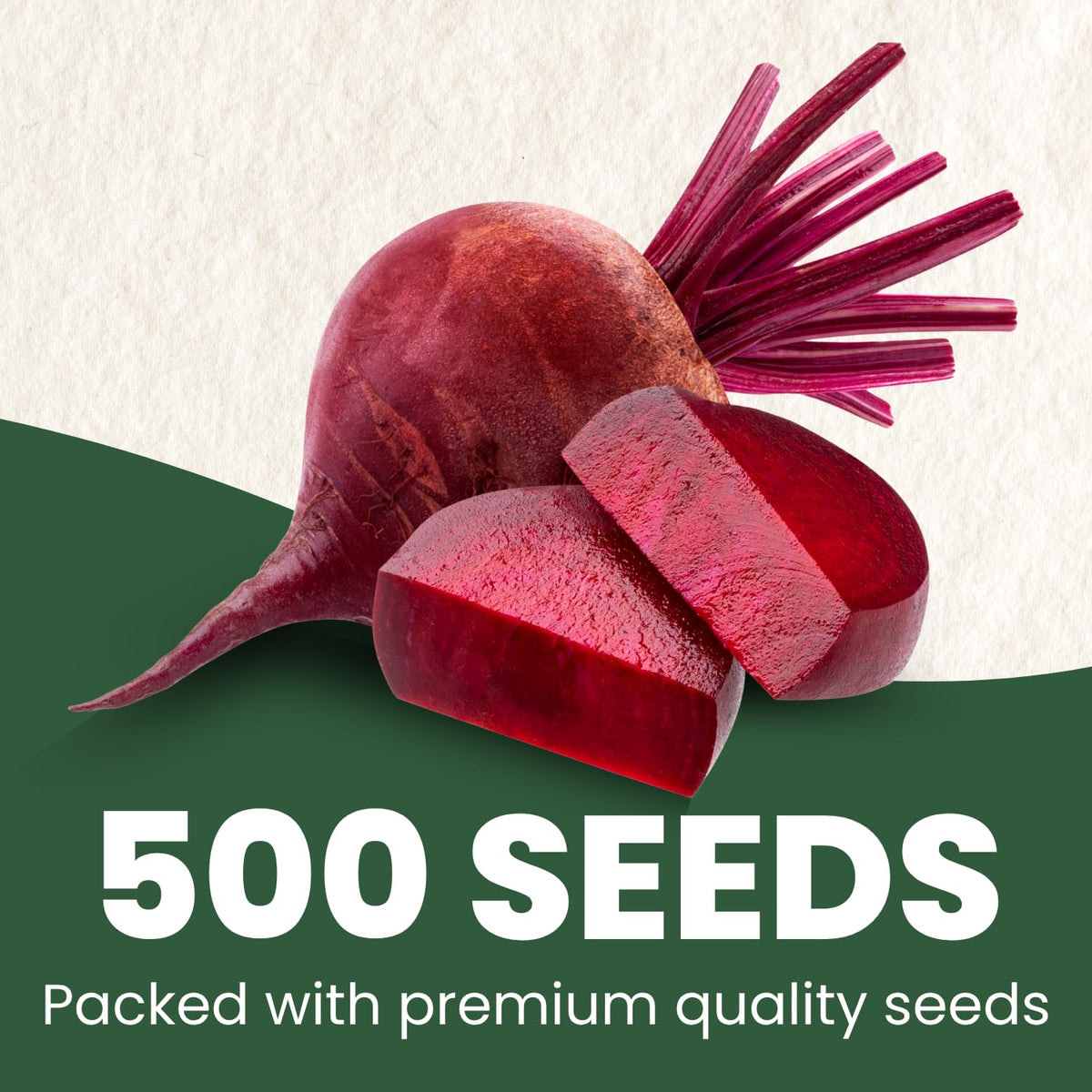 Detroit Dark Red Beet roots with smooth globe shape and deep red color.