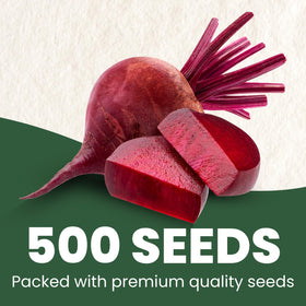 Detroit Dark Red Beet roots with smooth globe shape and deep red color.