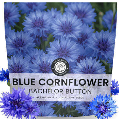FAMILY SOWN Blue Cornflower seeds 4,000-count pack for vibrant borders