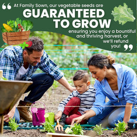 FAMILY SOWN Buttercrunch Lettuce instruction card provides clear planting steps.