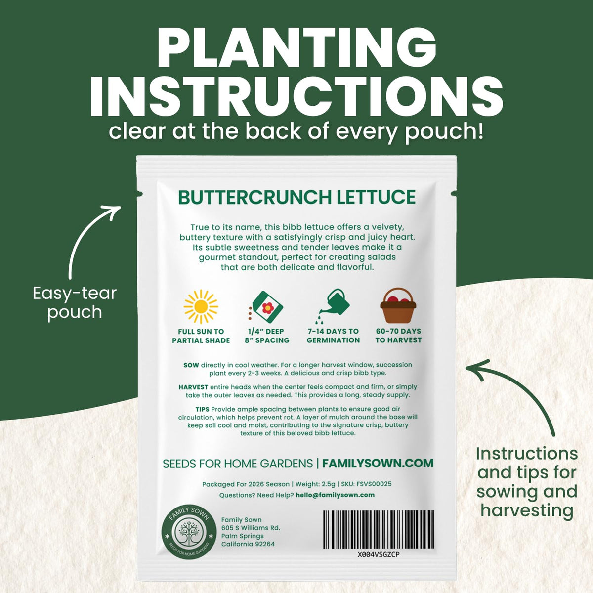 FAMILY SOWN Buttercrunch Lettuce rosette head forming ideal for salads.