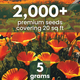 Family Sown 2,000 seeds labeled for easy garden broadcasting