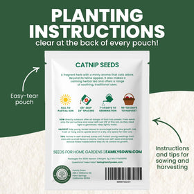 FAMILY SOWN Catnip bees on blooms attracting pollinators