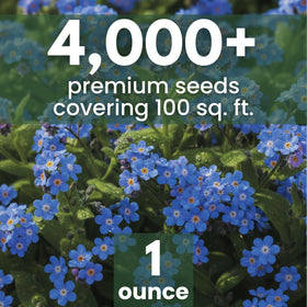 FAMILY SOWN Chinese Forget Me Not seed pouch with 1 oz packaging.