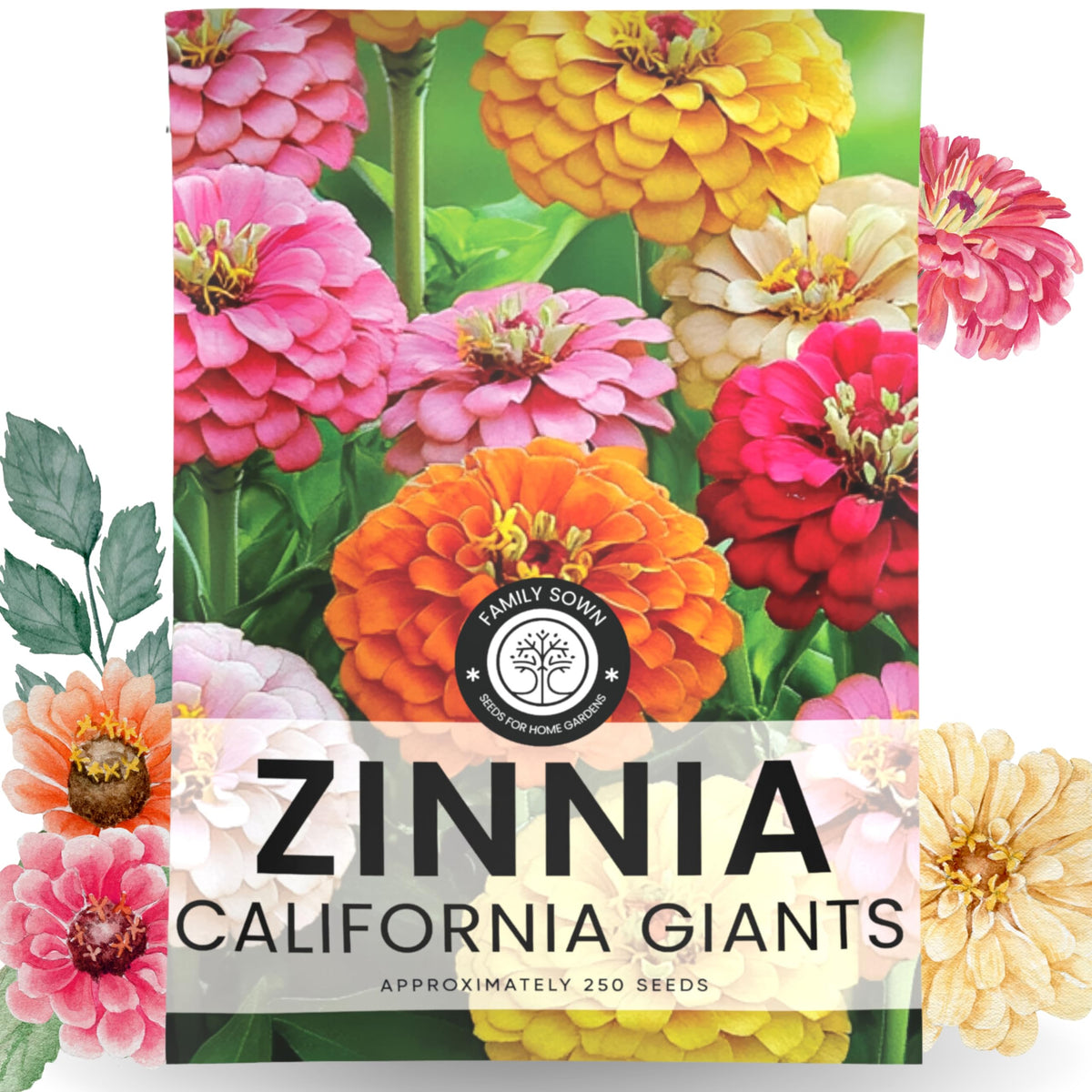 FAMILY SOWN Zinnia California Giants envelope ready for planting in the garden