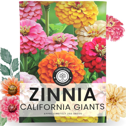 FAMILY SOWN Zinnia California Giants envelope ready for planting in the garden