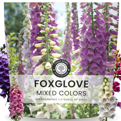 Family SOWN Foxglove seed packet front with premium seeds for vibrant color.
