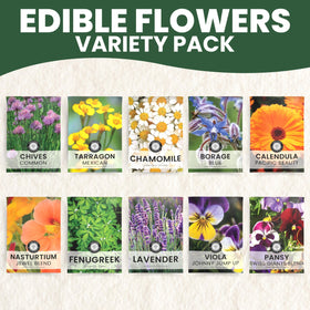 Family Sown gift packaging seed packs with simple planting instructions for beginners.