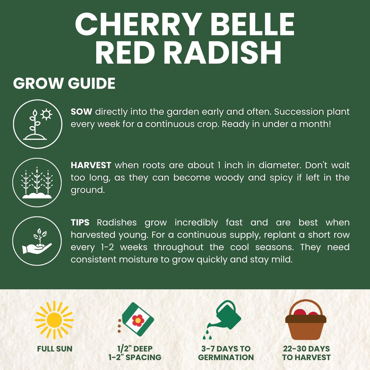 Family Sown hands planting radish seeds ideal for beginners.