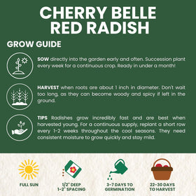 Family Sown hands planting radish seeds ideal for beginners.