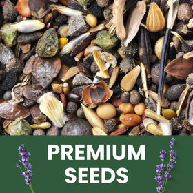 Family Sown lavender seeds quarter-ounce pouch: freshness-sealed viability.
