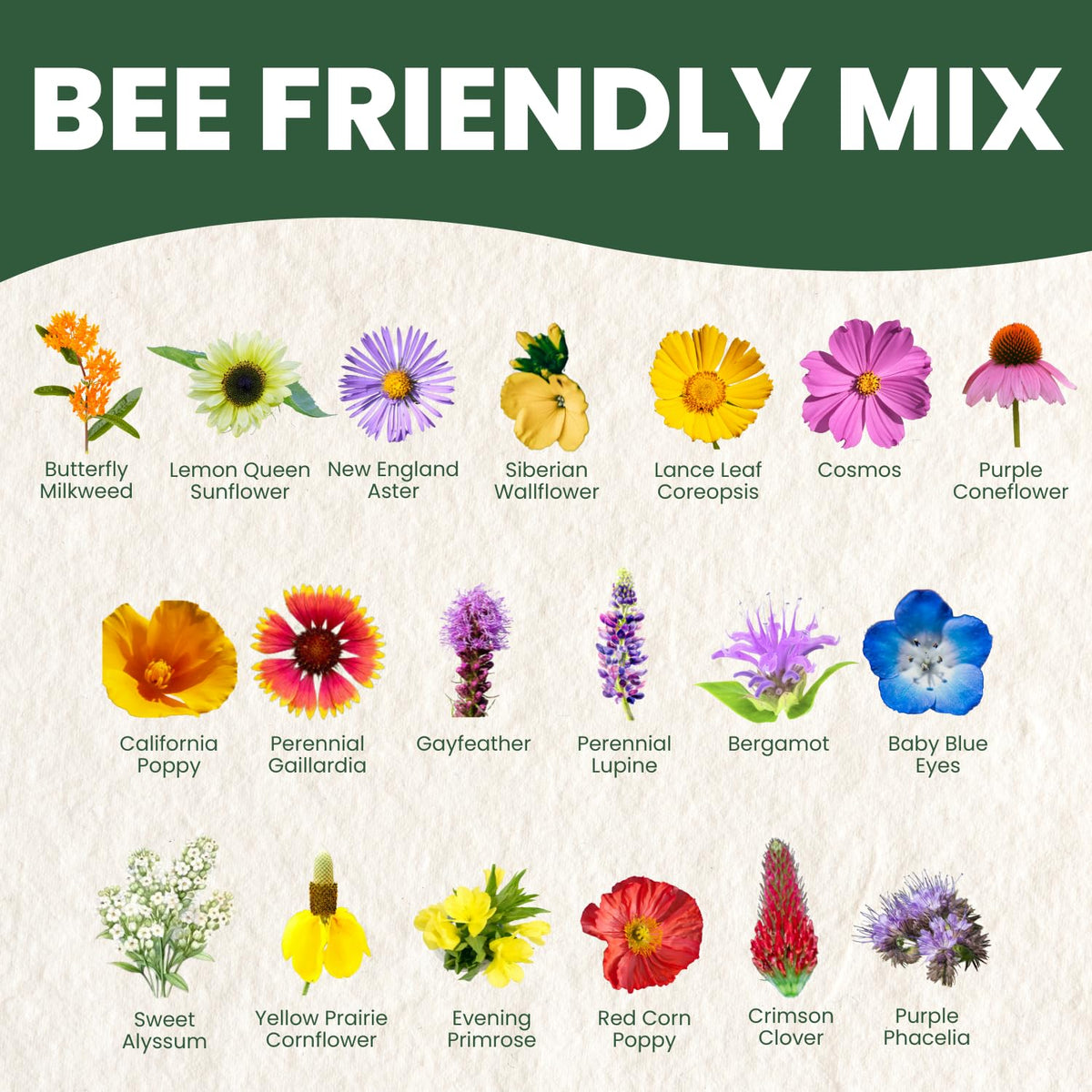 Family Sown meadow blend offers habitat with low maintenance