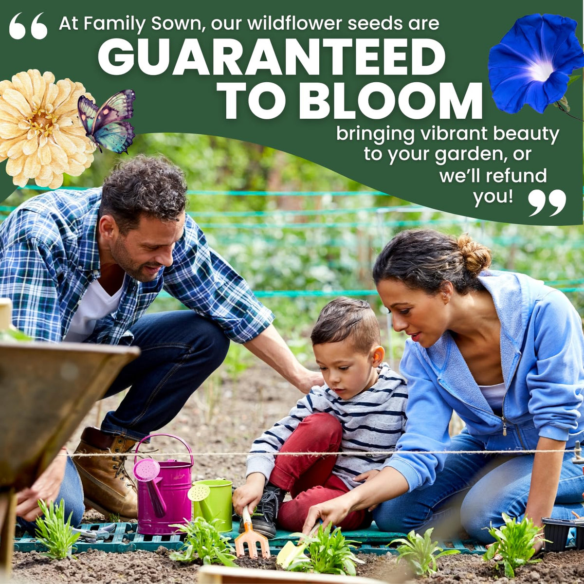 Family Sown Morning Glory Heavenly Blue packaging for 2026 season.