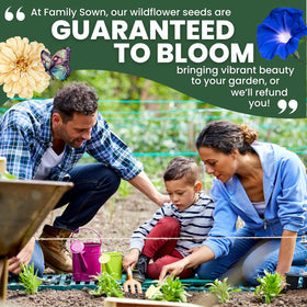 Family Sown Morning Glory Heavenly Blue packaging for 2026 season.