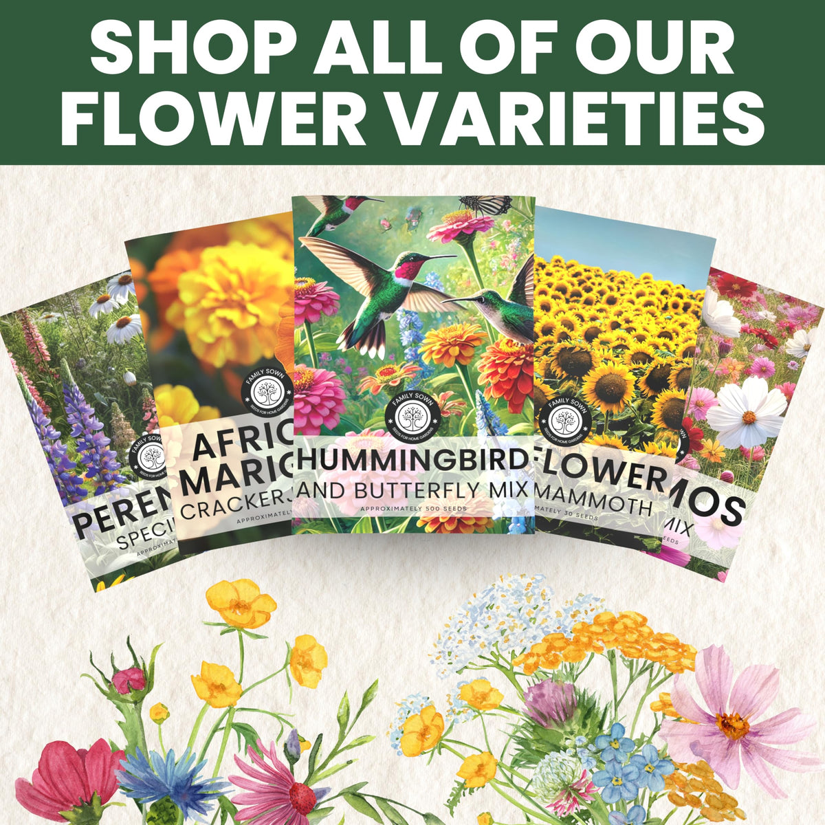 Packaging image: FAMILY SOWN zinnia seeds envelope with generous seed count