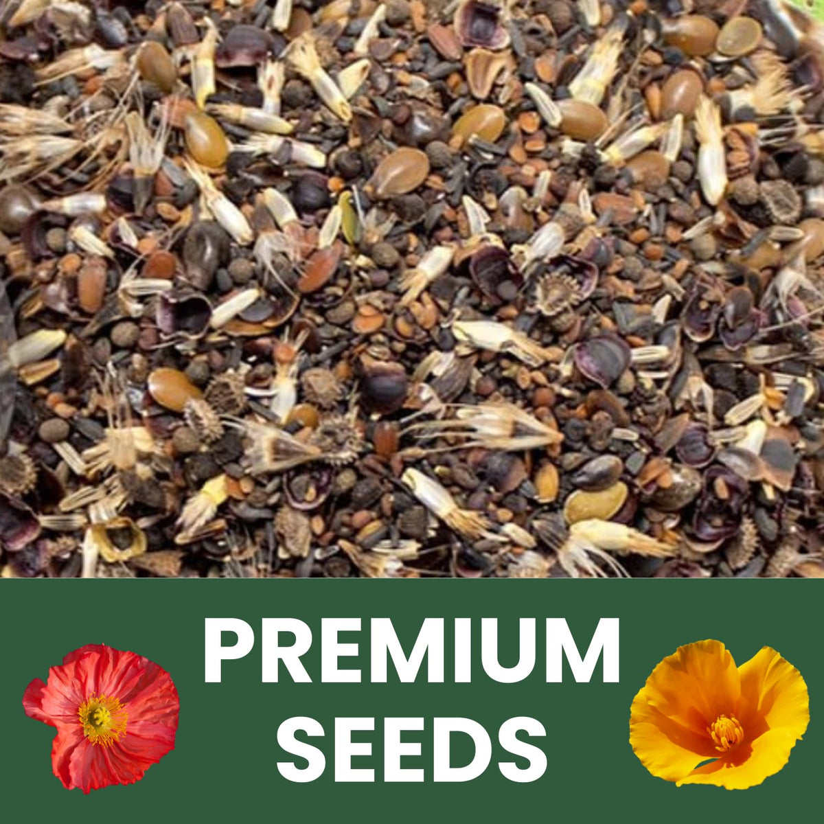 Family Sown pollinator-friendly garden plan supports bees and butterflies.