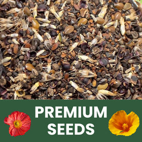 Family Sown pollinator-friendly garden plan supports bees and butterflies.