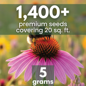 Family Sown nectar-rich flowers form a pollinator-friendly meadow