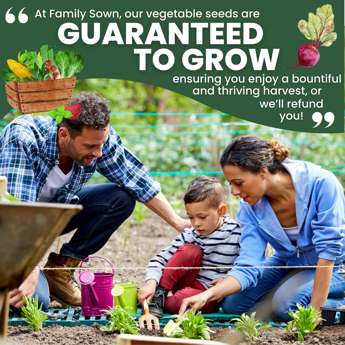 Clear planting instructions included with a freshness-sealed promise.