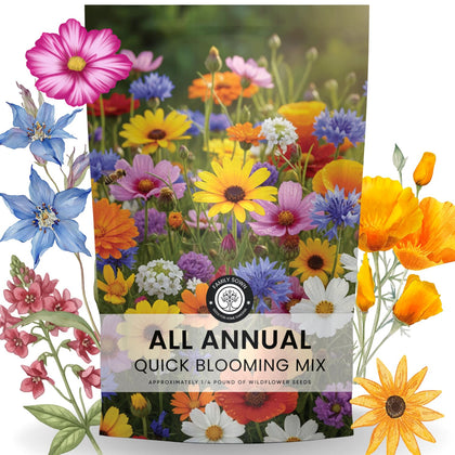 Family Sown All Annual Quick Blooming Mix seed packet open, ready to plant color.