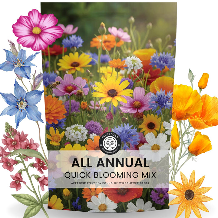Family Sown All Annual Quick Blooming Mix seed packet open, ready to plant color.