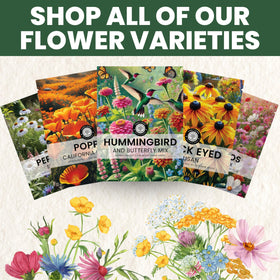 Family Sown seed refund policy for confidence in gardening