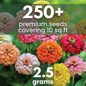 FAMILY SOWN seeds close-up showing vibrant germination potential