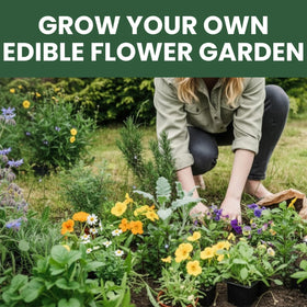 Family Sown seeds germination guide included to support confident planting.