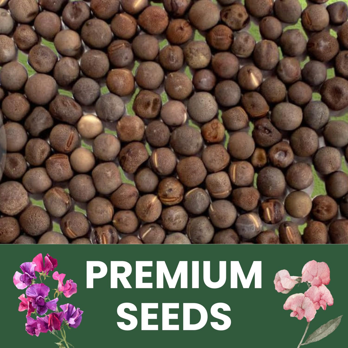 FAMILY SOWN Royal Family Mix seeds in a 1-ounce freshness pouch for easy storage.