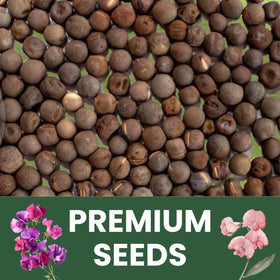 FAMILY SOWN Royal Family Mix seeds in a 1-ounce freshness pouch for easy storage.