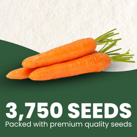 5g freshness pouch preserves FAMILY SOWN seeds viability for 2026 season