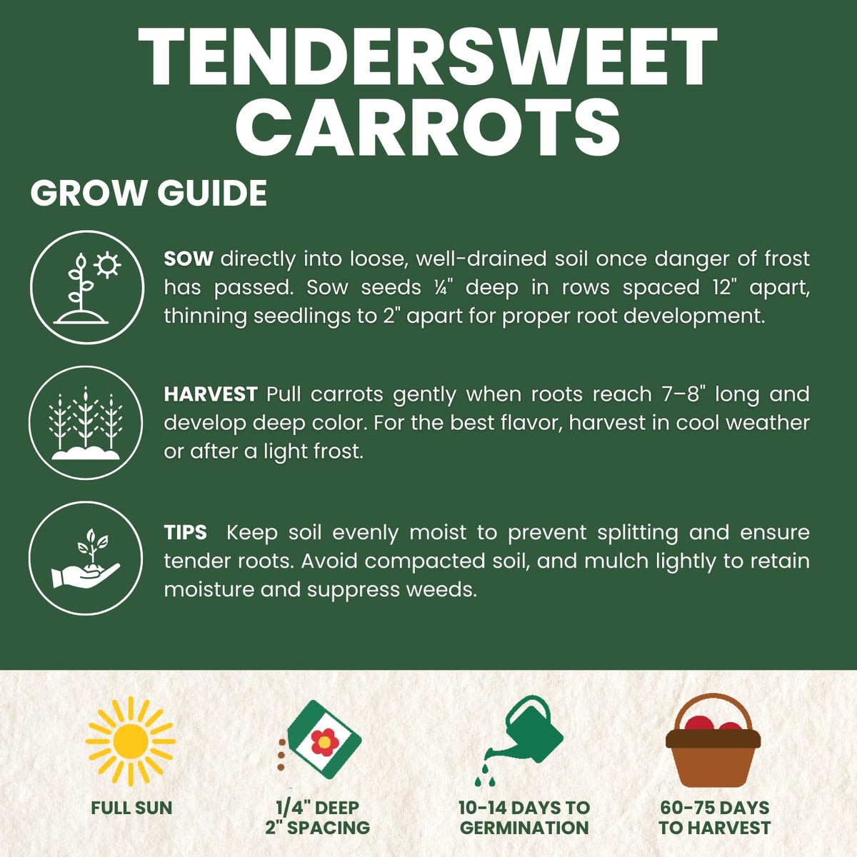 Planting in a garden bed with FAMILY SOWN Tendersweet carrot seeds