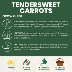 Planting in a garden bed with FAMILY SOWN Tendersweet carrot seeds