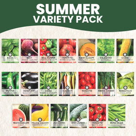 Family Sown tomato brandywine packet displayed for tasty slicing varieties.