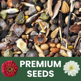 Perfect for border displays and cutting gardens with bold, resilient blooms.
