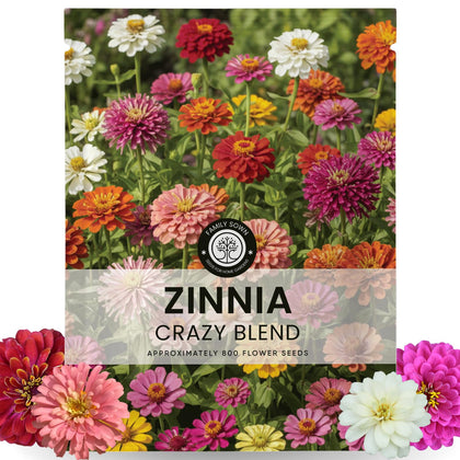 Family Sown Zinnia Crazy Blend seeds create a vibrant color display in beds.