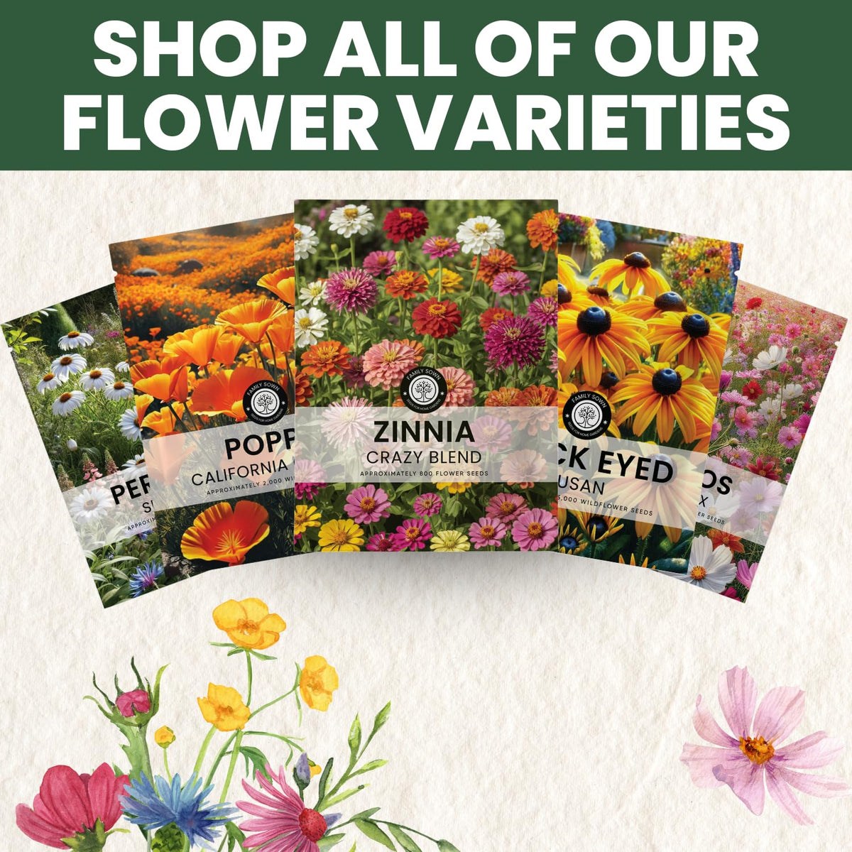 Fresh 2026 season seeds ready to plant for quick germination and bright results.