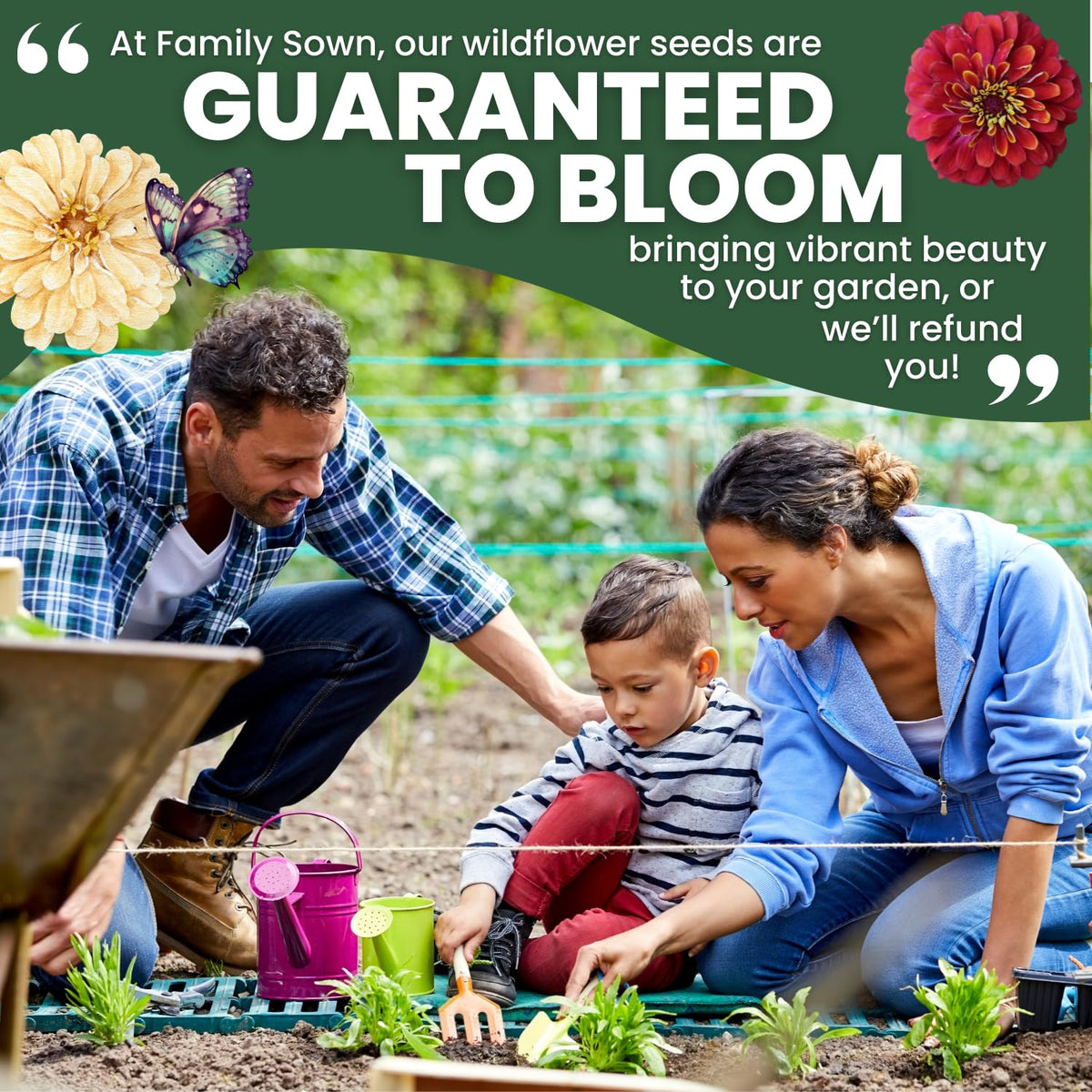 Easy-care zinnias ideal for beginners seeking bold garden color.