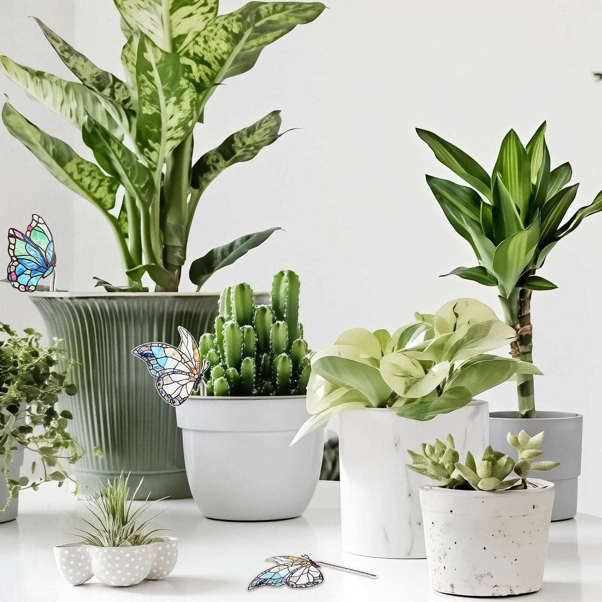 Fampery glass butterfly decor for indoor plants and sunny displays.