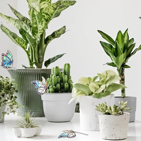 Fampery glass butterfly decor for indoor plants and sunny displays.