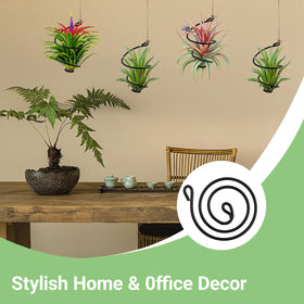 Fampery wall-friendly display ideas with multi-holders for windows or shelves