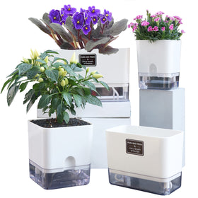 FAMZ self-watering planters front view on a shelf for indoor decor.