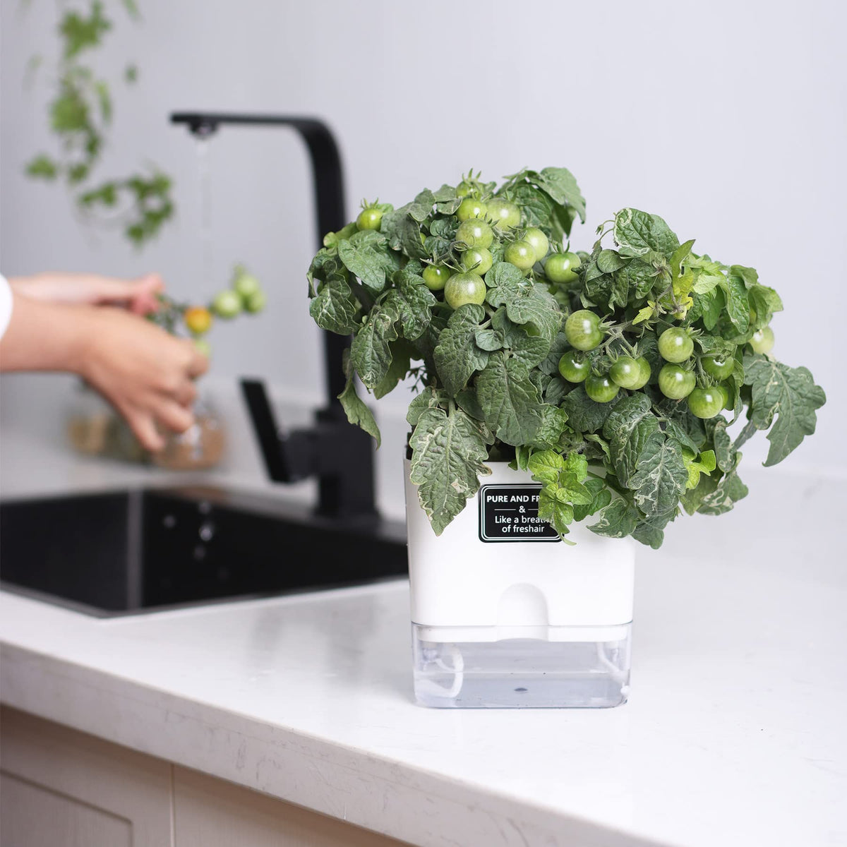 Planters with removable top and bottom layers for easy cleaning.