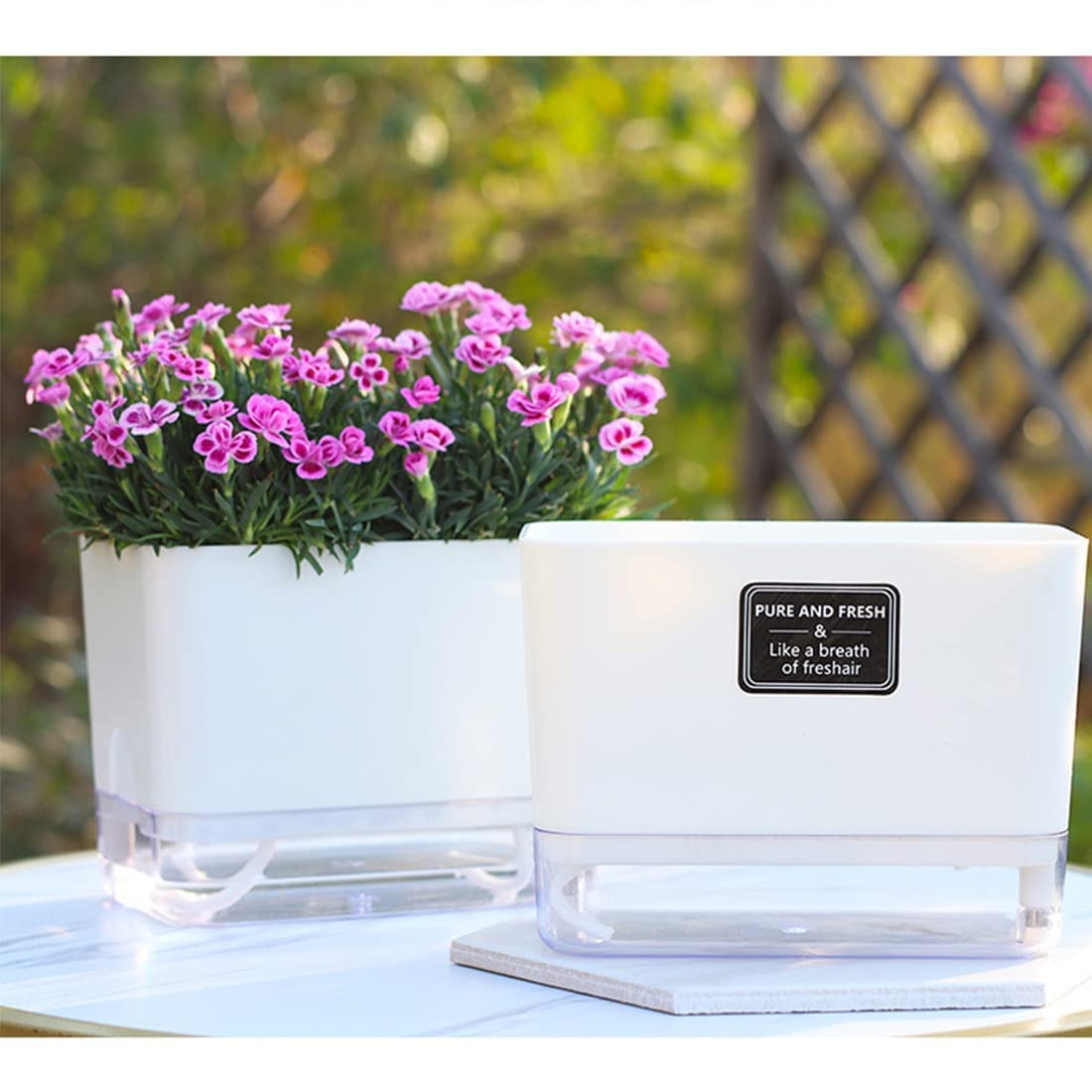 Three sizes available: 5.5, 7, and 10 inch planters from FAMZ.