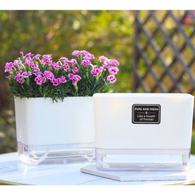 Three sizes available: 5.5, 7, and 10 inch planters from FAMZ.