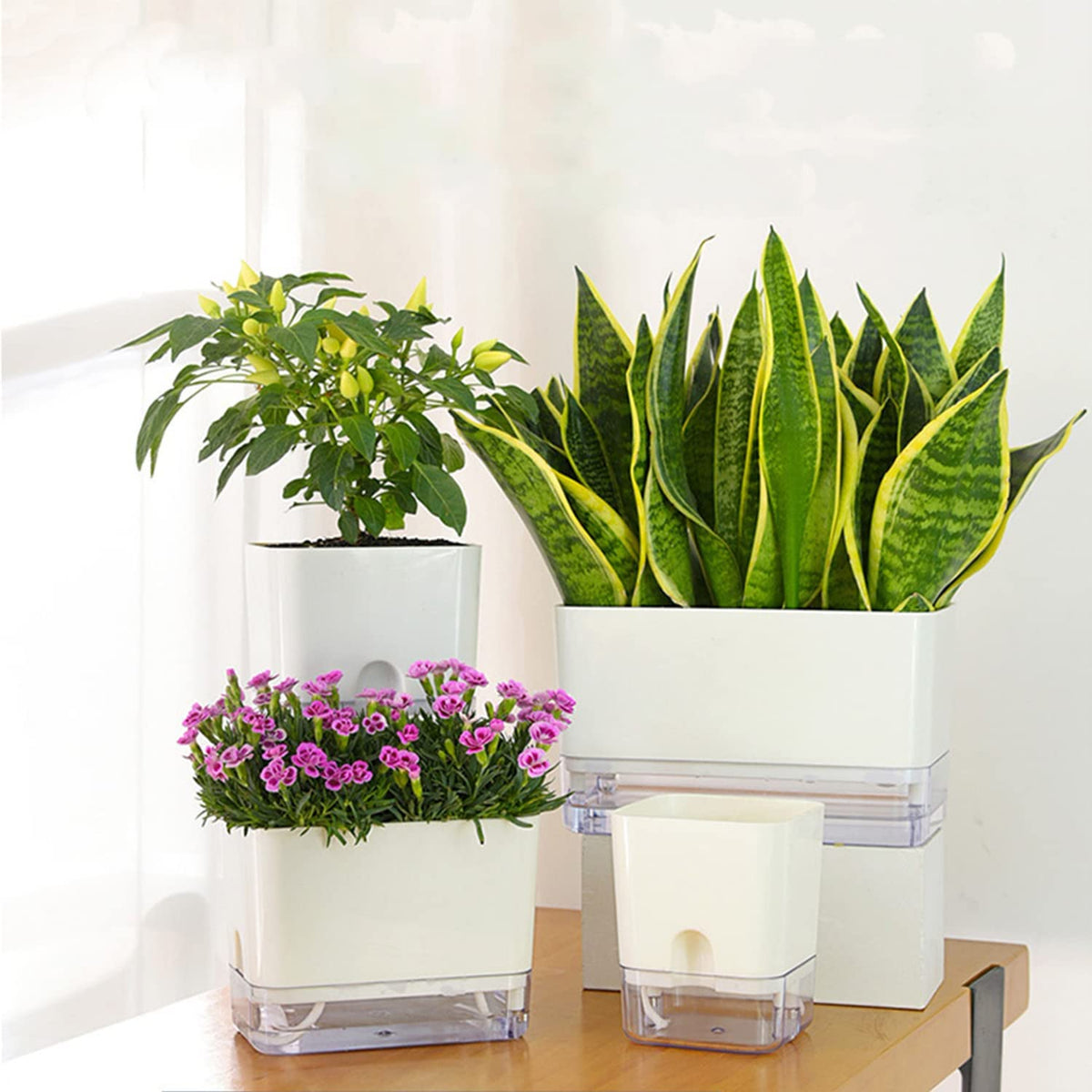 FAMZ planter with water level window showing hydration status.