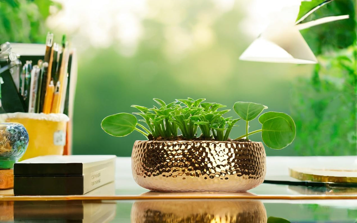 FANFANJIA arrangement planter enabling creative display ideas