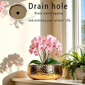 FANFANJIA shallow 9.8-inch bowl perfect for succulents or bonsai arrangements